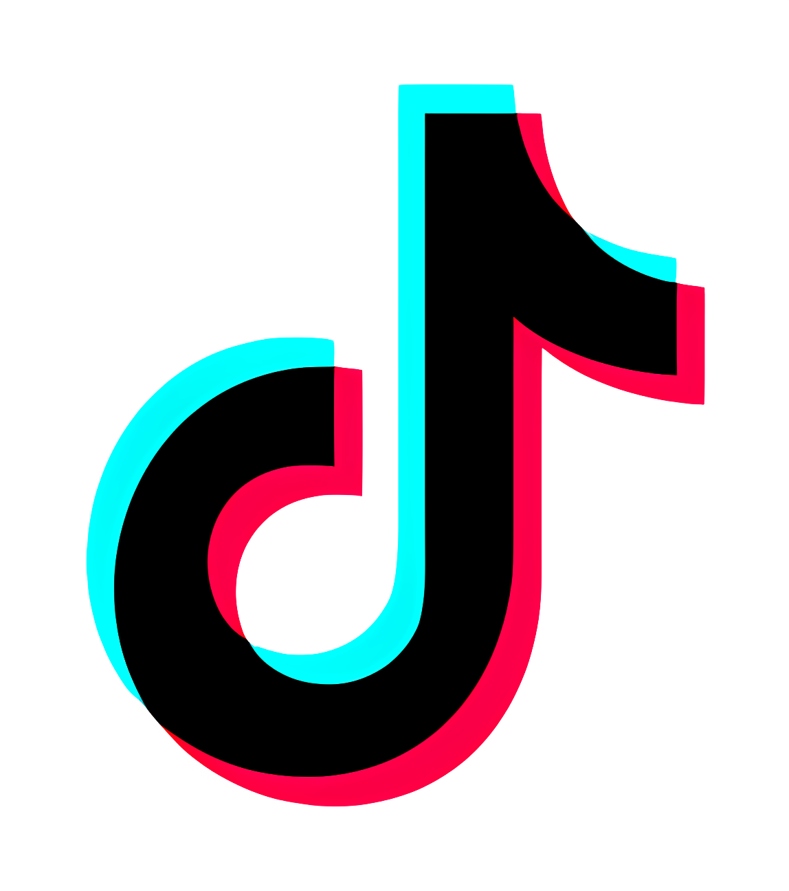 TikTok Icon